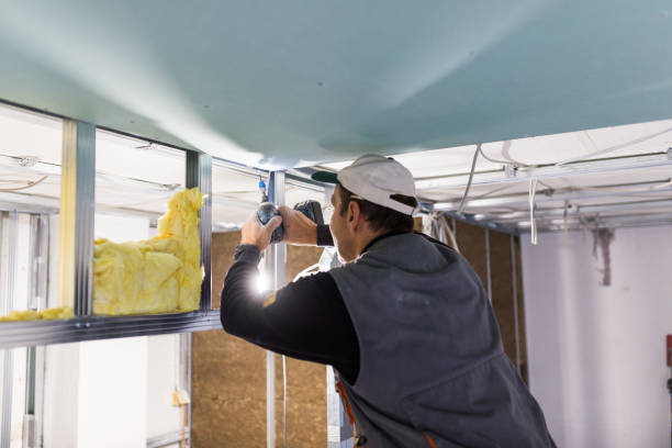 Best Insulation Contractor Near Me  in Easton, PA