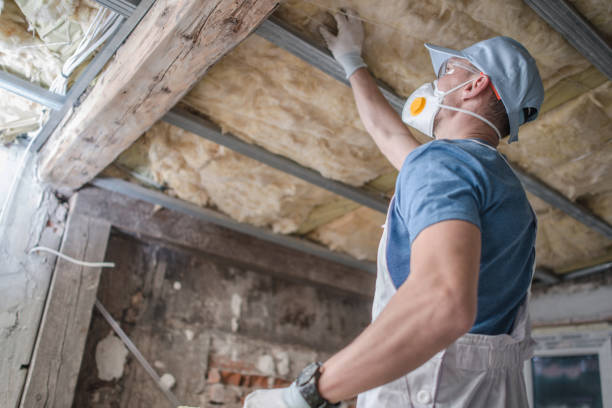 Best Attic Insulation Installation  in Easton, PA
