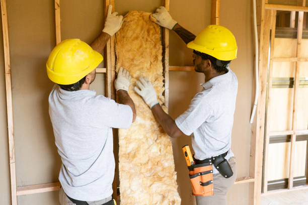 Best Insulation for New Construction  in Easton, PA