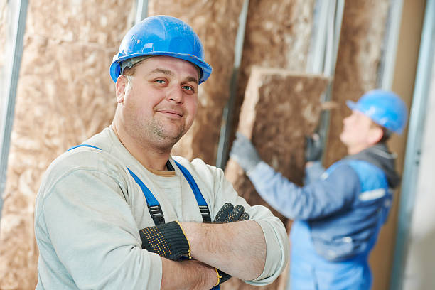 Best Professional Insulation Contractor  in Easton, PA