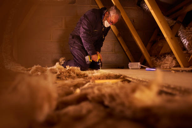 Best Local Insulation Services  in Easton, PA