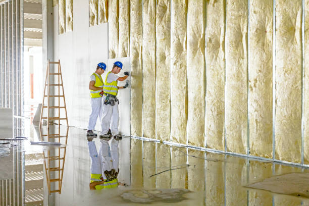 Best Fiberglass Insulation  in Easton, PA